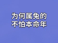 为何属兔的不怕本命年,属兔的人害怕本命年吗