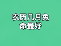 农历几月兔命最好：农历正月/三月/七月