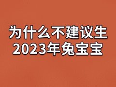 为什么不建议生2023年兔宝宝：黑兔年不好(生肖不合父母)