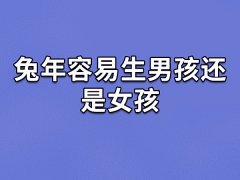 兔年容易生男孩还是女孩,兔年生的男生多还是女生多