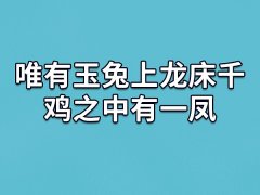 唯有玉兔上龙床千鸡之中有一凤,玉兔上龙床是劫难吗