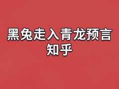 黑兔走入青龙预言知乎,黑兔走入青龙的预言是真的吗