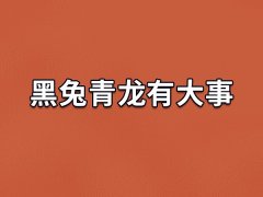 黑兔青龙有大事,2023年黑兔年会发生什么