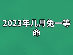 2023年几月兔一等命：三