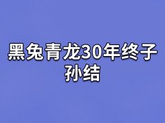 黑兔青龙30年终子孙结,黑兔和青龙能结婚吗