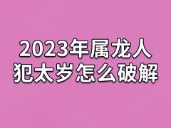 2023年属龙人犯太岁怎么破