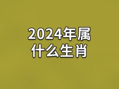 2024年属什么生肖,2024年出