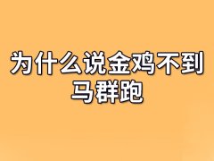 为什么说金鸡不到马群跑