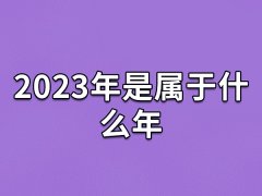 2023年是属于什么年：农历癸卯年(兔年)