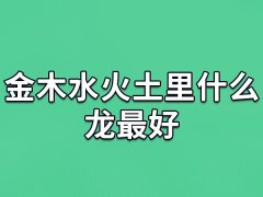 金木水火土里什么龙最好