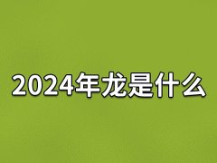 2024年龙是什么,2024年属龙