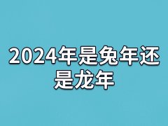 2024年是兔年还是龙年,20