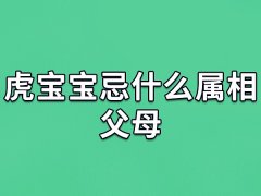 虎宝宝忌什么属相父母：