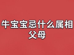 牛宝宝忌什么属相父母：