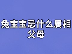 兔宝宝忌什么属相父母：生肖牛/生肖龙/生肖鸡