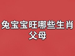 兔宝宝旺哪些生肖父母：生肖狗/生肖虎/生肖羊/生肖猪