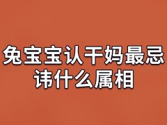 兔宝宝认干妈最忌讳什么属相：生肖龙/生肖鸡/生肖马