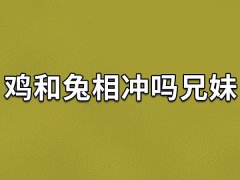 鸡和兔相冲吗兄妹：二者相冲(互相看不顺眼)