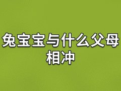 兔宝宝与什么父母相冲：生肖龙/生肖马/生肖牛