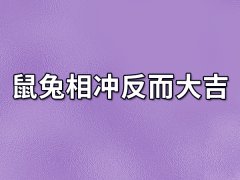 鼠兔相冲反而大吉：运势