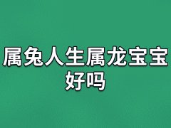 属兔人生属龙宝宝好吗：容易产生矛盾(向心力差)