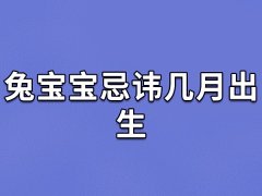 兔宝宝忌讳几月出生：二月/五月/九月/十月