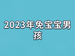 2023年免宝宝男孩,2023年出生的属兔男命运如何