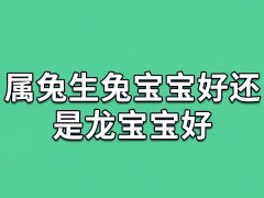 属兔生兔宝宝好还是龙宝宝好：适合兔宝宝(兔龙相害)