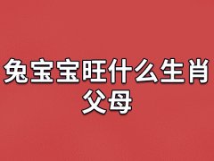 兔宝宝旺什么生肖父母：生肖狗/生肖虎/生肖猪