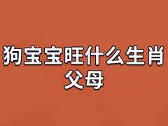 狗宝宝旺什么生肖父母：