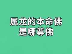 属龙的本命佛是哪尊佛：