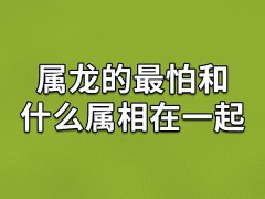 属龙的最怕和什么属相在