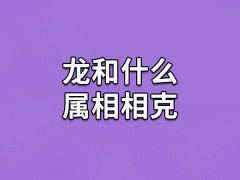 龙和什么属相相克：生肖