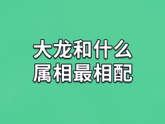 大龙和什么属相最相配：