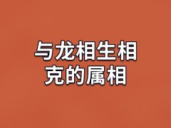 与龙相生相克的属相：属