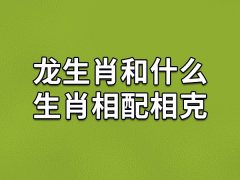 龙生肖和什么生肖相配相