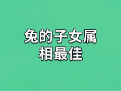 兔的子女属相最佳：生肖狗/生肖猪/生肖羊(家庭氛围和谐)