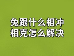 兔跟什么相冲相克怎么解决：属牛/属龙/属鸡/属马(佩戴生肖猪饰品)