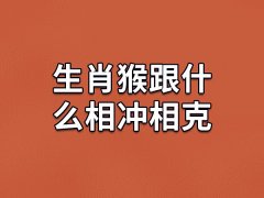 生肖猴跟什么相冲相克：