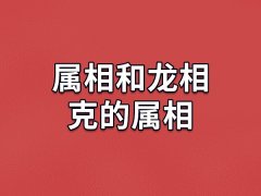 属相和龙相克的属相：龙