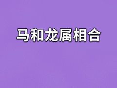 马和龙属相合,属龙和属马