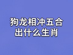 狗龙相冲五合出什么生肖