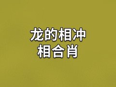 龙的相冲相合肖：属狗/属