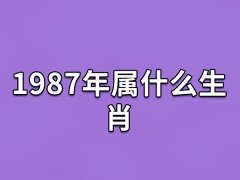 1987年属什么生肖：生肖