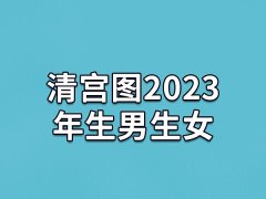 清宫图2023年生男生女,今年生的宝宝男女清宫图