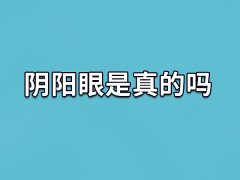 阴阳眼是真的吗,真的有阴阳眼吗