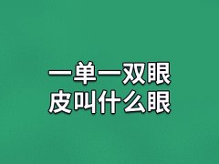 一单一双眼皮叫什么眼：龙凤眼(天生有福气)