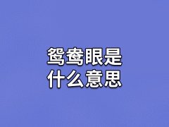 鸳鸯眼是什么意思,什么样的是鸳鸯眼