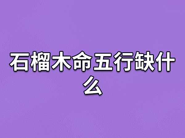 人的五行属性：揭秘五行与个人特质之间的关联 (人的五行属性以什么为准)