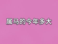 属马的今年多大,属马的人2023年多少岁